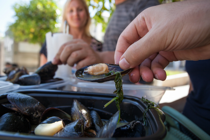 Bulhão Pato Clams