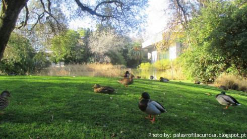 Garden Calouste Gulbenkian