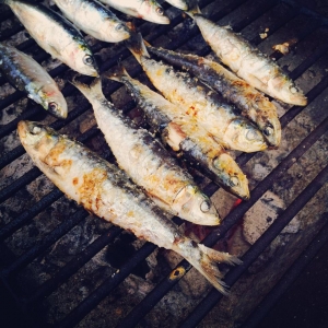 foto50.60982900-1402397058140610101844t_1 Fried Sardines
