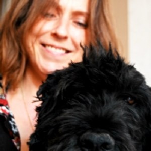 Close up to Quixote, dog