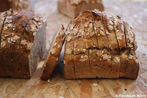 Miolo - Handmade biological Bakery Lisbon