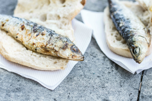 Sardines