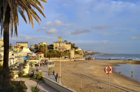a group of people on a beach with palm trees