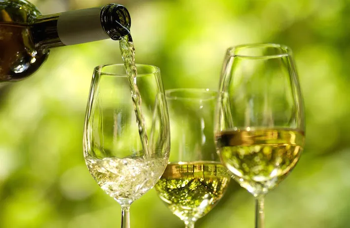 a glass of wine - vinho verde