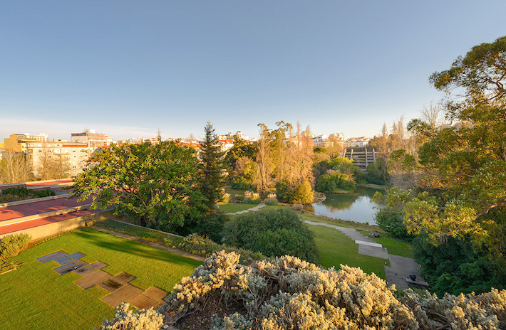 a river with a city in the background
