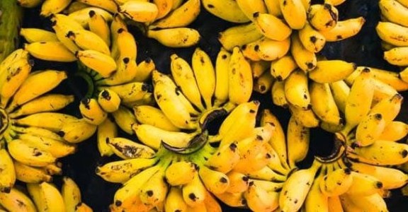 cachos de bananas