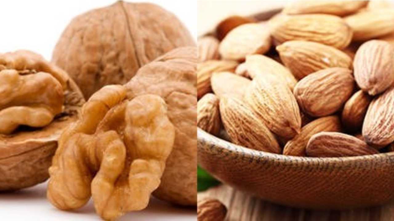 Taça de frutos secos