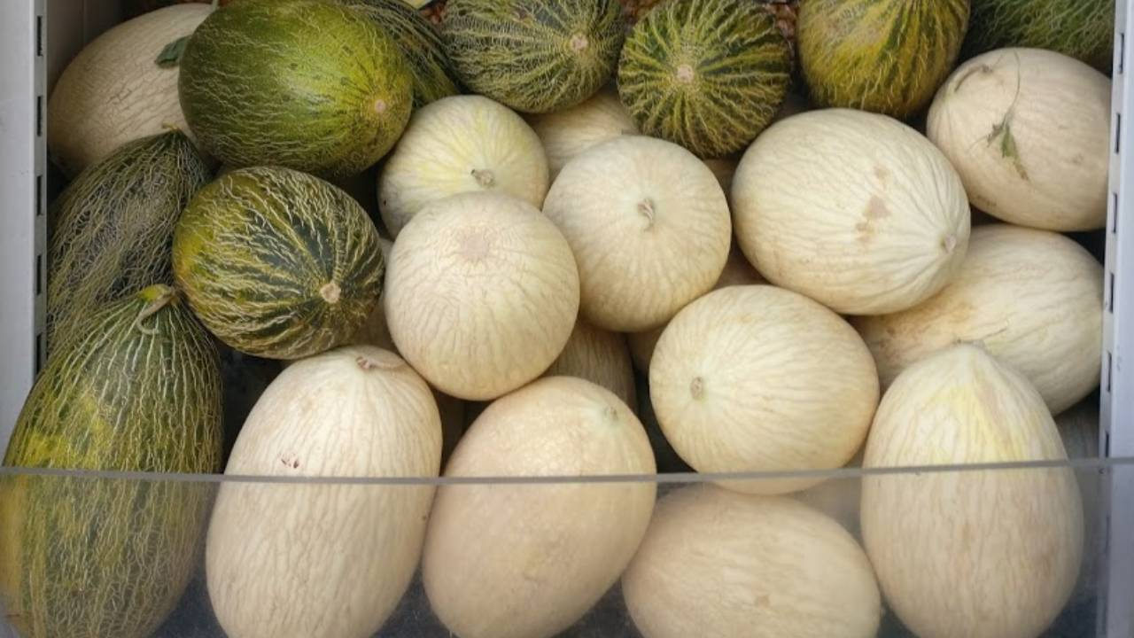 fruta muitos melões