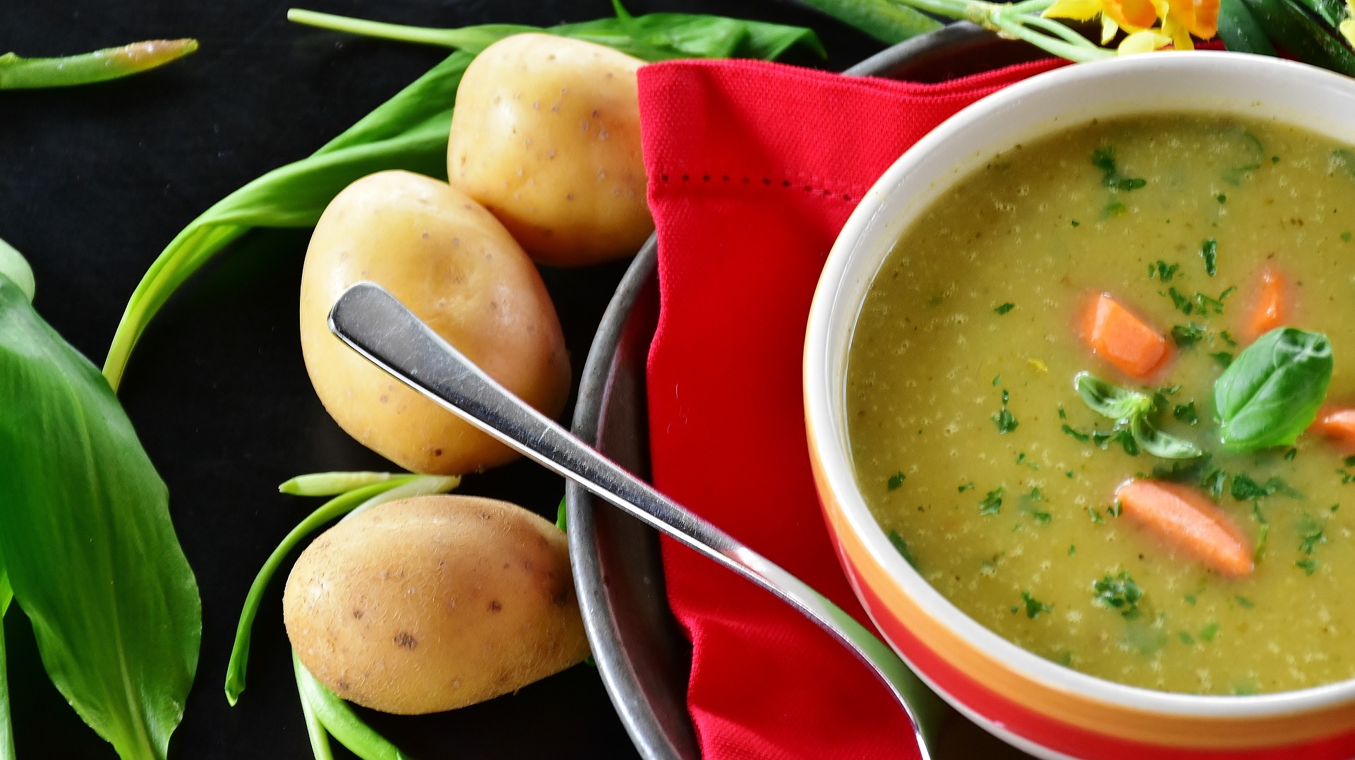 sopa