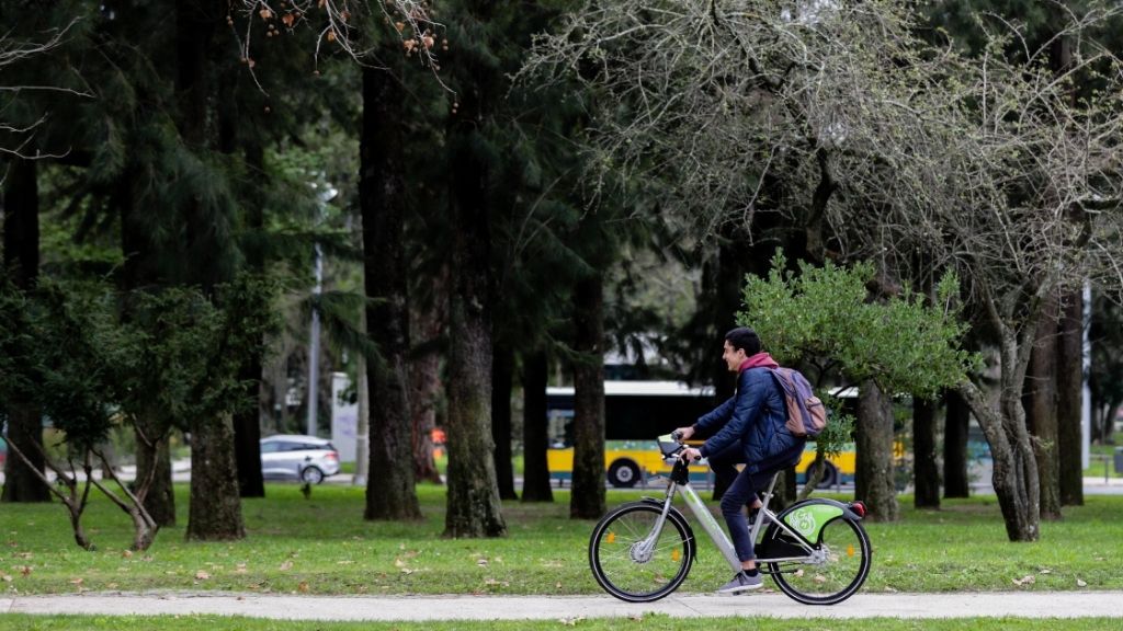 a person riding a bicycle in a park
