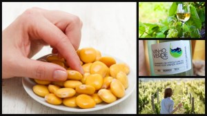 a hand holding a fruit