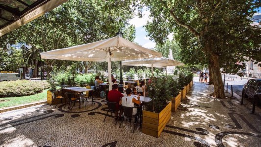 Best seafood restaurants in and around Lisbon