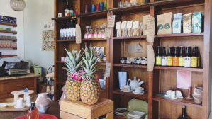 Ajuda-_-Restelo-travel-guide_Nogal-do-Restelo.