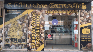 Costa da Caparica travel guide for food lovers
