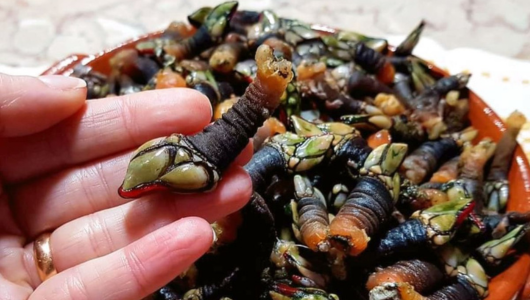 a hand holding a piece of food