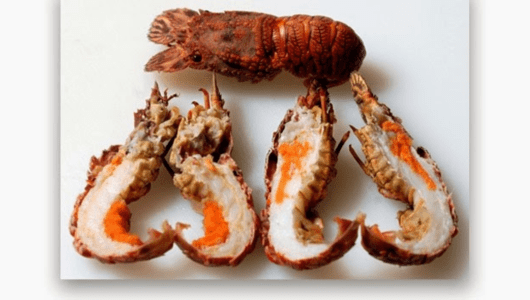 a close up of food