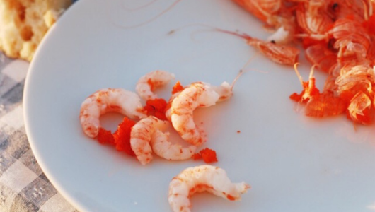 a plate of food