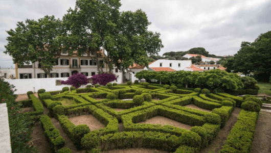 a close up of a garden