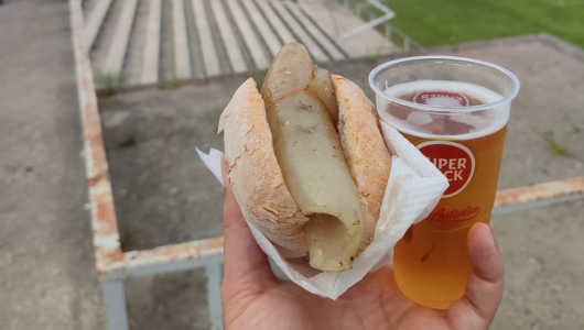 a hand holding a hot dog