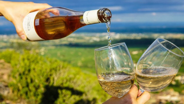 00.Vinho Verde guide_feat photo a hand holding a glass of wine