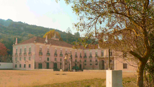 a tree in front of a building