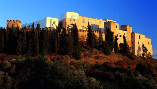 a castle on a hill