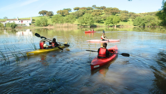 a group of people rowing a boat in a body of water