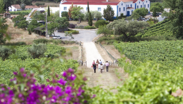a group of people in a garden