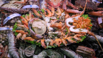 a pile of food