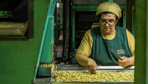 00.Portuguese food projects you should know_feat photo Woman sorting nuts on a conveyor belt in a factory, wearing a cap and apron.