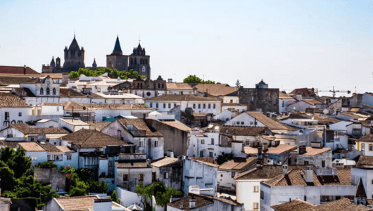 View of a historic town with white houses and a large cathedral in the background.