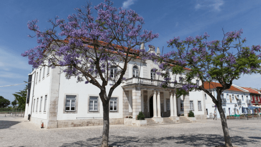 White building with columns, purple-flowered trees, and clear blue sky.