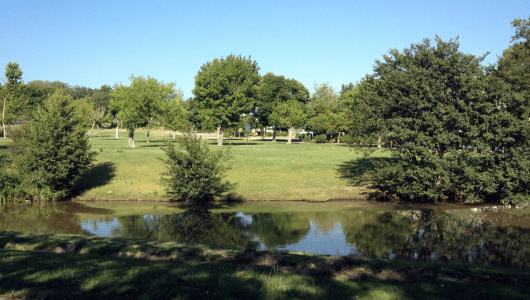 Park scene with trees and a small pond under a clear blue sky.