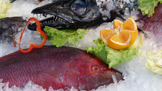 Assorted fish displayed on ice with lettuce, orange slices, and pepper.