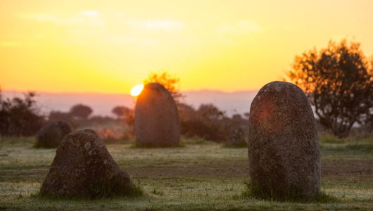 Sunset over a grassy field with standing stones and trees in the background.