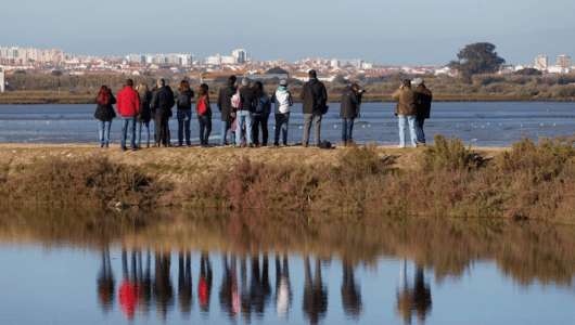 Group of people birdwatching by a lake, city buildings in the background.
