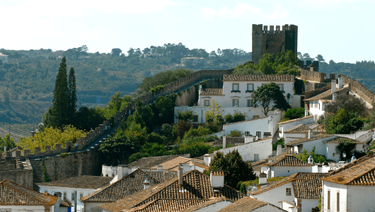 Hilltop castle with a stone wall and white houses, surrounded by greenery.