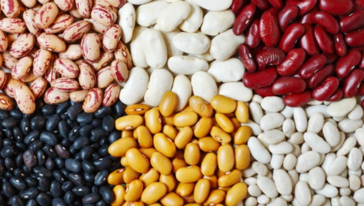 Assorted beans in sections: red, white, black, yellow, and speckled.