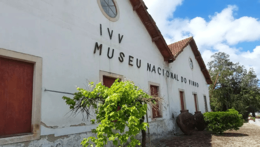 Exterior of Museu Nacional do Vinho with vines and pottery in front.