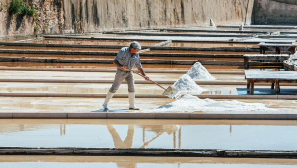 The story of salt in Portugal