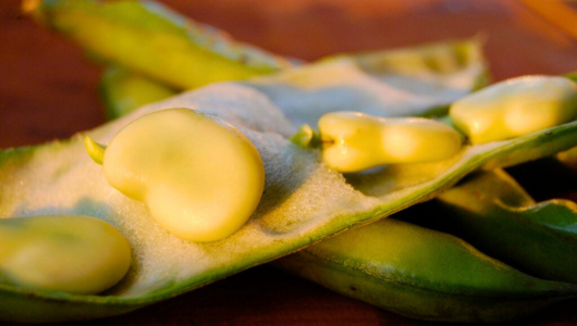 Portugal’s best bean dishes