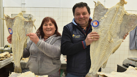 Taste of Lisboa: Where Lisbon locals shop for Christmas - bacalhau codfish