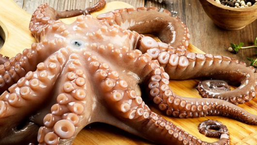 Taste of Lisboa: Where Lisbon locals shop for Christmas