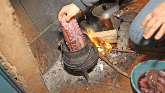 Person placing octopus tentacle in a pot over a wood fire.