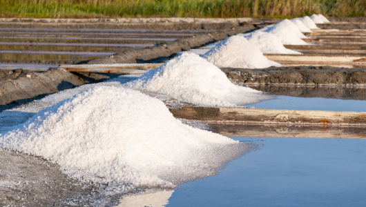 The story of salt in Portugal - Rows of white salt piles drying on a salt field under the sun.