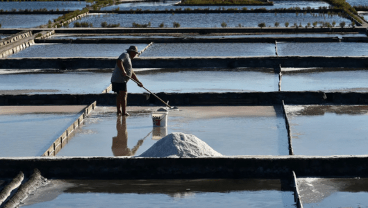 The story of salt in Portugal - Person harvesting salt in square salt pans under clear blue sky.