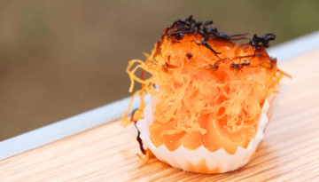 Lisbon one day trips - Abrantes travel guide for food lovers