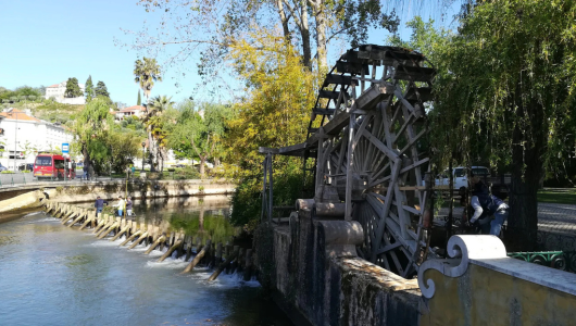 Large wooden waterwheel on a riverbank surrounded by trees on a sunny day.