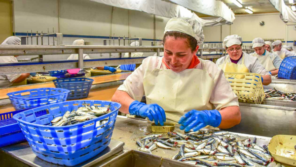 Workers sorting fish at canned fish factory in Portugal