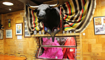 Mounted bull head with a colorful blanket on wood-paneled wall in a decorated room.